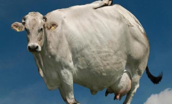 Γνωρίστε τους συλλόγους των Διαμεσολαβούντων μέσα από τα καταστατικά τους