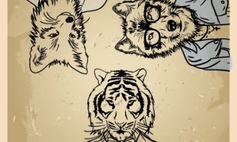 Κινητικότητα στην Ελληνική αντασφαλιστική αγορά