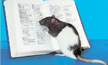 Νέα ουσία για την αποκατάσταση της όρασης