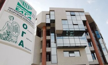 ΟΓΑ: Μέχρι τις 15/01 οι αιτήσεις για τα οικογενειακά επιδόματα