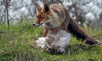 Οι «ουρές» της υποκρισίας και η χαμένη τιμή των διαμεσολαβούντων…