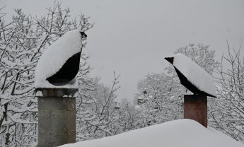 Αραρίσκοντας Ηλίας Προβόπουλος: Δυο πιγκουίνοι στη χιονισμένη στέγη