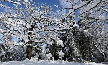 Αραρίσκοντας Ηλίας Προβόπουλος: Ο χειμώνας και η κακή μας μοίρα...