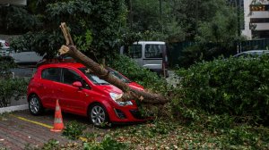 Το φθηνό ασφάλιστρο φθάνει να καλύψει πλημμύρες και πτώσεις δέντρων σε αυτοκίνητα και περιουσίες από τον «Μπάλλο»;