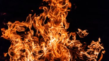 shutterstock_526467031