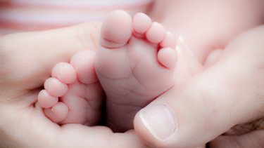 paternity