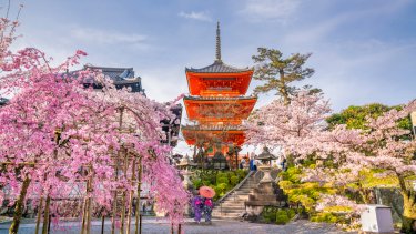 shutterstock_1017748132