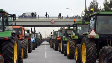 agrotes1