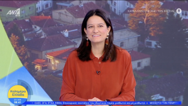 nk_ant1_200126