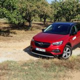 opel-grandland-x-16_cdti_120ps_anoigma