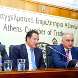 k.georgiadis-sto-eea_1