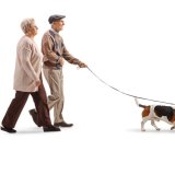 shutterstock_1397787830