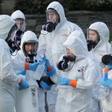 pandemic