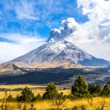 shutterstock_394919224