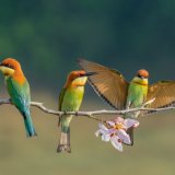 shutterstock_1037556787