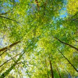 shutterstock_380464495