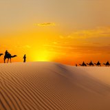 shutterstock_50739715