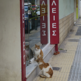 gatesasf