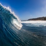 shutterstock_1818906521