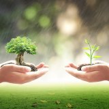 shutterstock_276278963