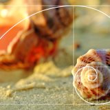 shutterstock_430253152
