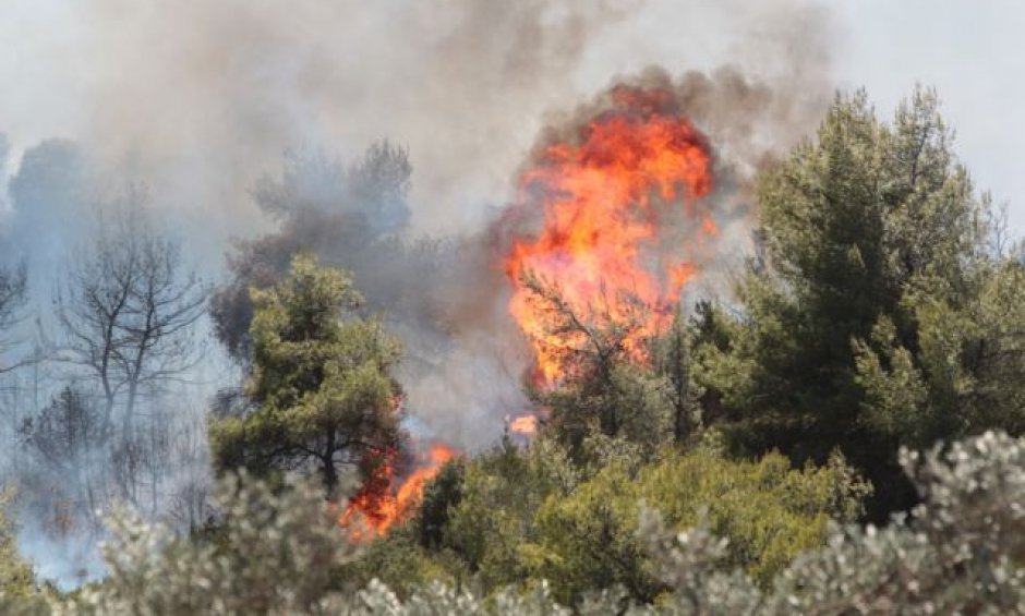 Πυρκαγιά εκδηλώθηκε στον Σχινιά Αττικής