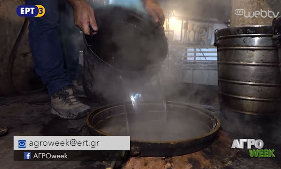 ΑΓΡΟweek: Πώς παράγεται το τσίπουρο! 