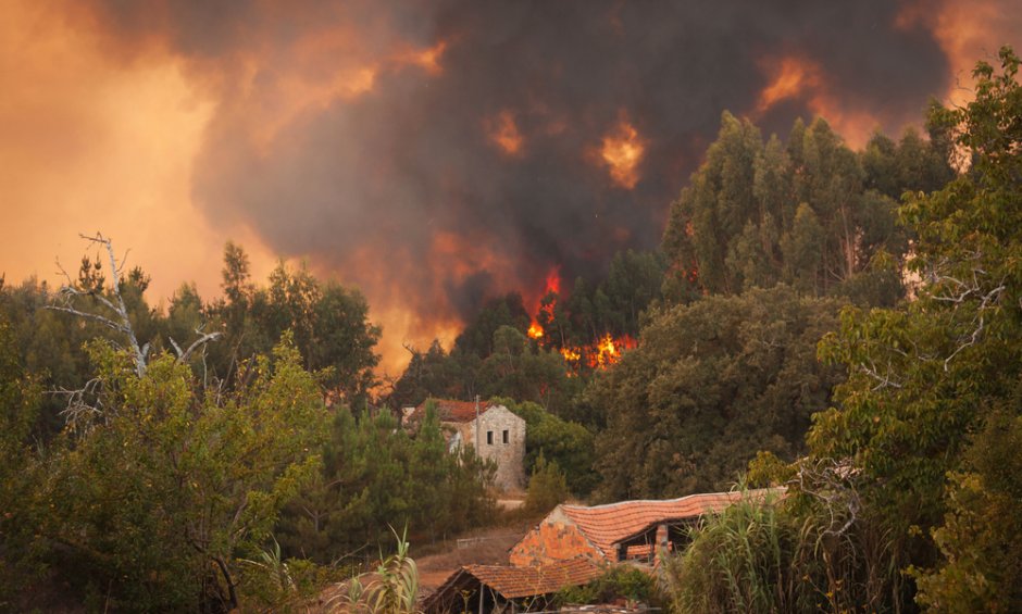 Η Πυρκαγιά από Δάσος περιλαμβάνεται στο συμβόλαιο του σπιτιού;