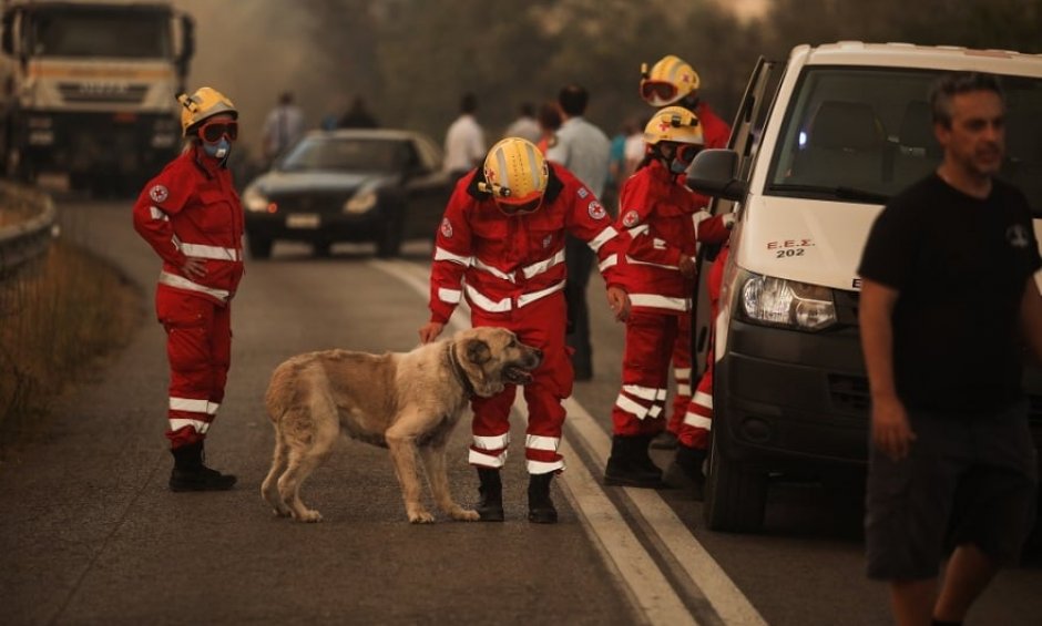 Ολονύχτια συνδρομή του Ελληνικού Ερυθρού Σταυρού στο μέτωπο της φωτιάς στην Βαρυμπόμπη