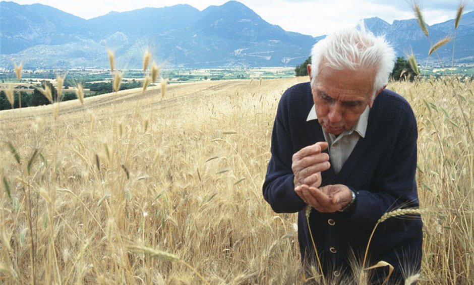 Αραρίσκοντας Ηλίας Προβόπουλος: Αναμνήσεις από το Έπος του '40