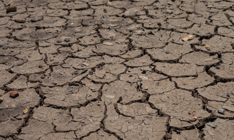 Η ξηρασία στην Ευρώπη επηρεάζει τις καλλιέργειες κι αυξάνει τον κίνδυνο για πυρκαγιές!