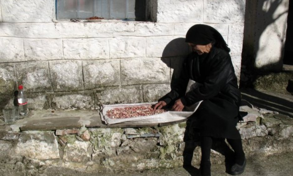 Η Δημήτρω και η σκιά της, του Ηλία Προβόπουλου