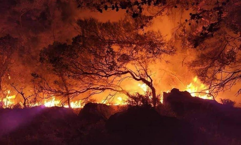 Ηλίας Προβόπουλος: Πως σώθηκε ένα δάσος στον Τυμφρηστό!