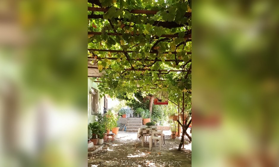 Ηλίας Προβόπουλος: Κάτω από μια κρεβατίνα!