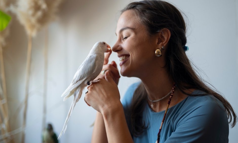 Ασφάλιση για εξωτικά pets: Από το ιγκουάνα μέχρι τον σκαντζόχοιρο - Η νέα πρόκληση της αγοράς