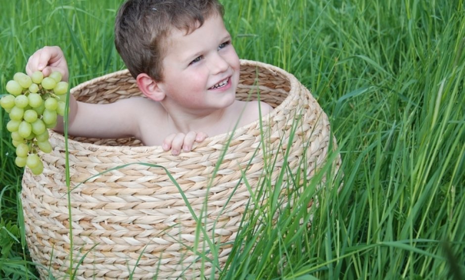 Μια ρώγα από σταφύλι για καλή υγεία