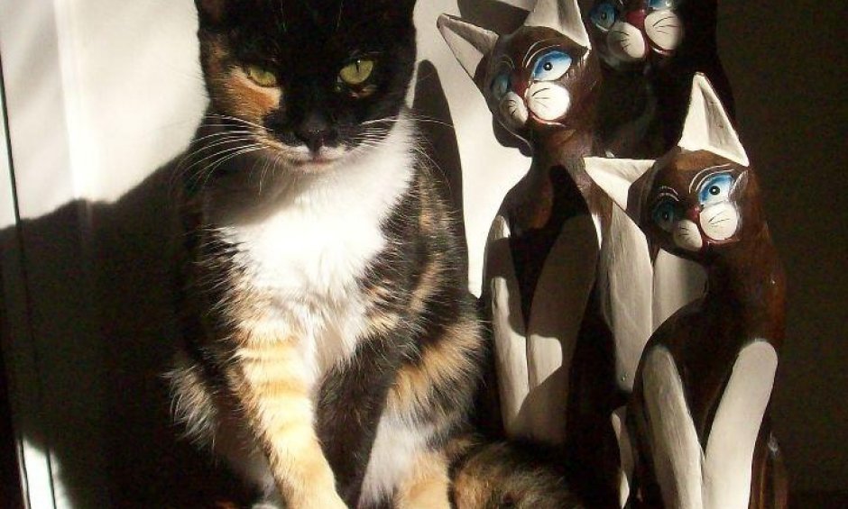 Πού οδηγεί η άνοδος της μεσαίας τάξης; Τάσεις και σημεία των καιρών ….