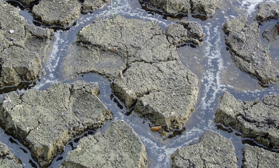 4 πρωτοβουλίες για προσαρμογή στις κλιματικές αλλαγές