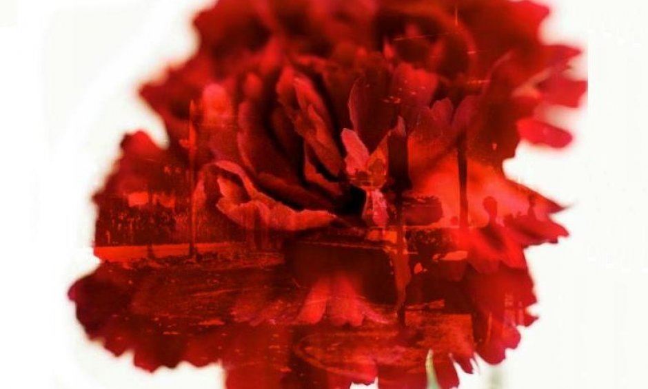 Διότι δεν συνεμορφώθην προς τας υποδείξεις… 