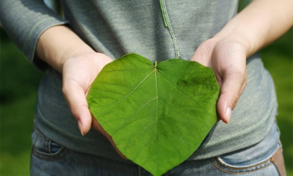 INTERAMERICAN: Αίσθημα ευθύνης για το περιβάλλον 