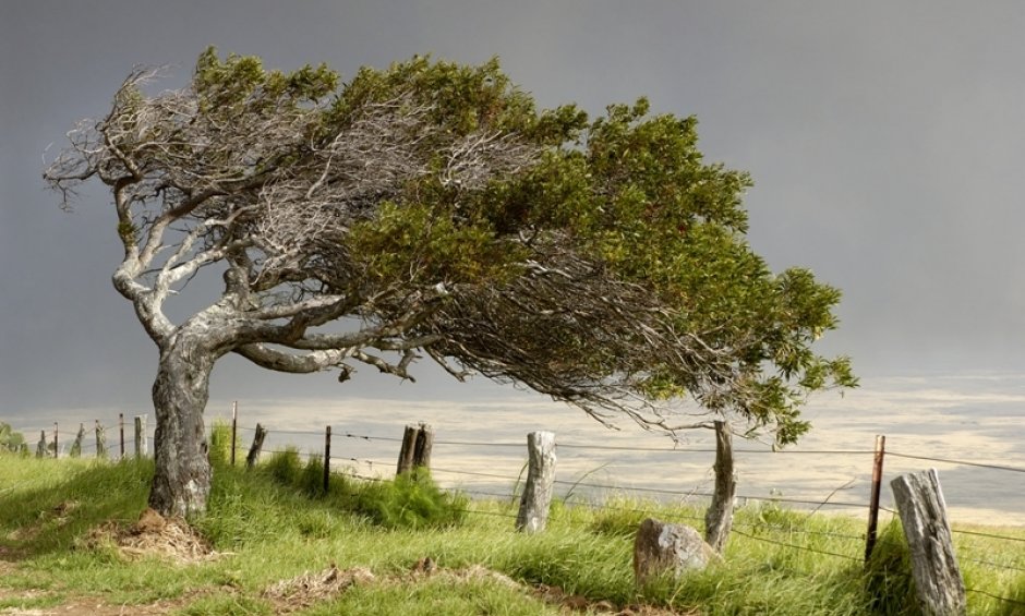 Έξαρση καταστροφικών γεγονότων στο 2011