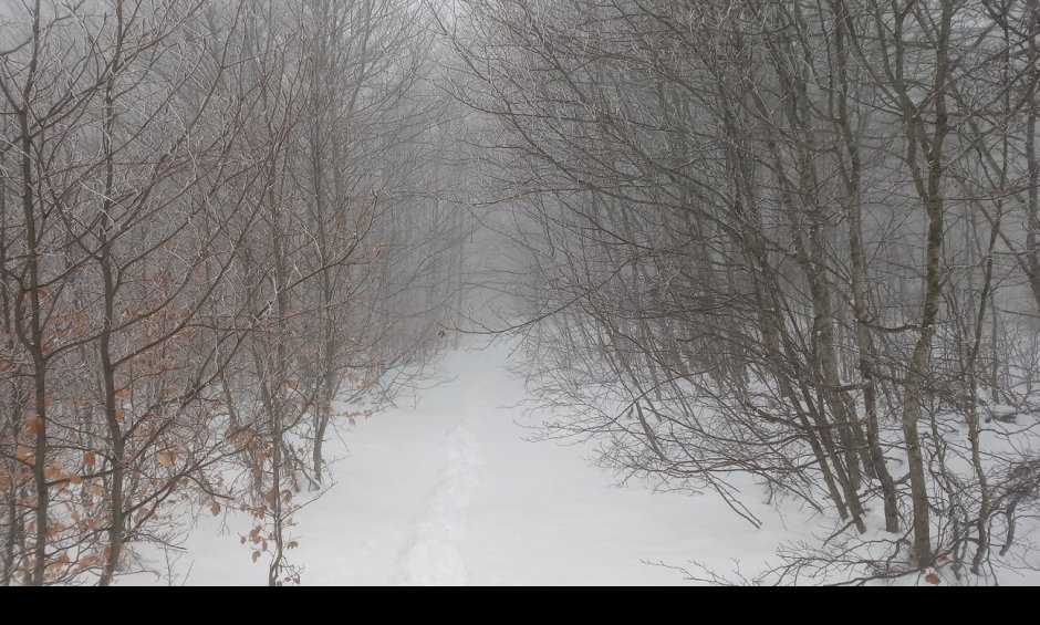 Αραρίσκοντας Ηλίας Προβόπουλος: Περπάτημα με ομίχλη στην χιονισμένη Καράβα