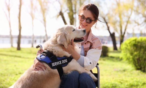 Ασφάλιση για «εργαζόμενα» pets: Προστατεύοντας τον φύλακα και τον θεραπευτή