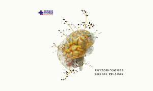 Phytobiosomes του Costas Picadas στο Ερρίκος Ντυνάν