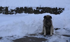 Ο χειμώνας δεν είναι θέαμα αλλά δοκιμασία ασφάλειας