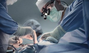 Άδ. Γεωργιάδης: Ρεκόρ για τις μεταμοσχεύσεις το 2025