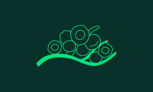 Παγκόσμια Ημέρα κατά του Καρκίνου | Η Boehringer Ingelheim επενδύει στρατηγικά στην καινοτομία και προωθεί νέες λύσεις στην ογκολογία με επίκεντρο τον άνθρωπο