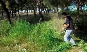 Aντιπυρική περίοδος: Ο καθαρισμός οικοπέδων από τα βασικά εργαλεία πρόληψης- Σε εξέλιξη το πρόγραμμα «ΑΙΓΙΣ», ύψους 2 δισ. ευρώ