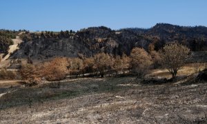 Πυρκαγιές: Τι προβλέπει το νέο νομοσχέδιο για τα ακαθάριστα οικόπεδα