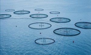 Οι ασφαλιστές και η άγνωστη σχέση τους με τα ιχθυοτροφεία!